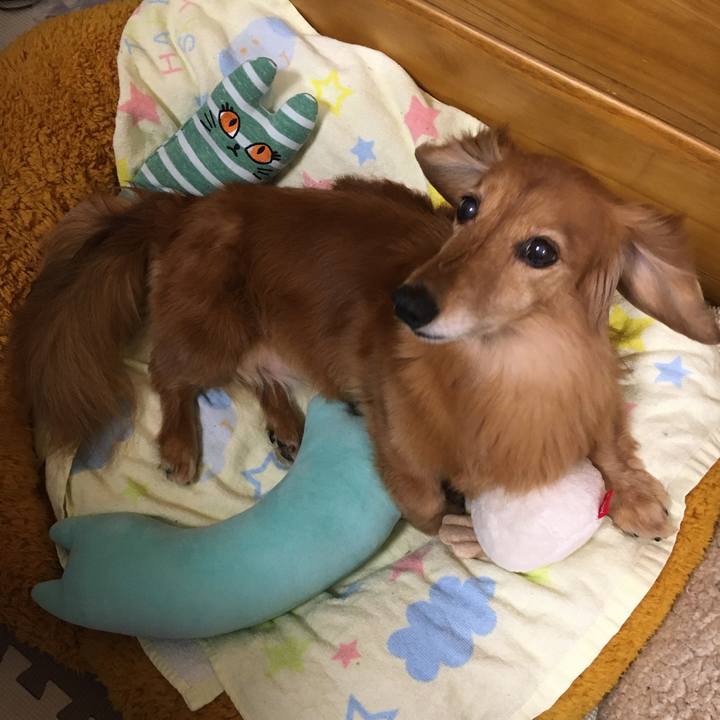 C16facfd 0e84 4638 9a80 badf4336112e 1618056852132