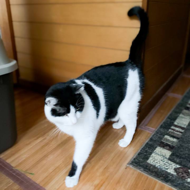 C16fb320 c31a 4620 84e0 860ff2eb7042 1582163053132