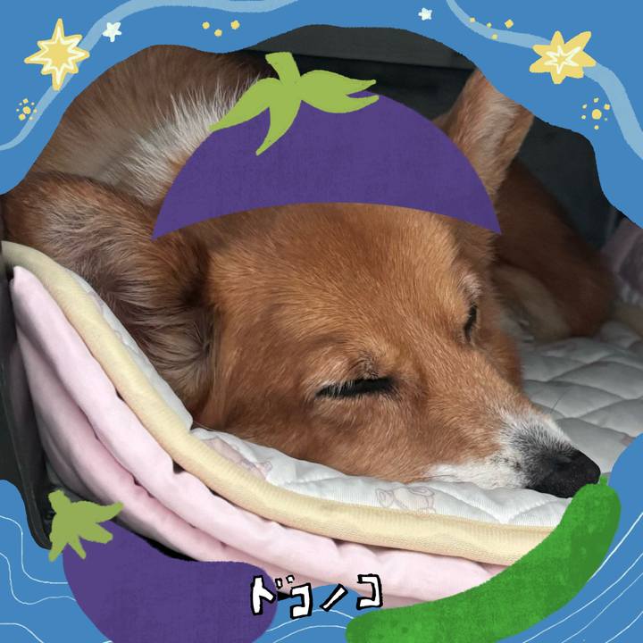 C16fb633 b2d0 4548 9bc6 a919f85246d2 1755064389806