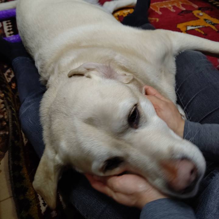 C16fe38a aef9 4160 a06a 4d1824c9c802 1701862671239