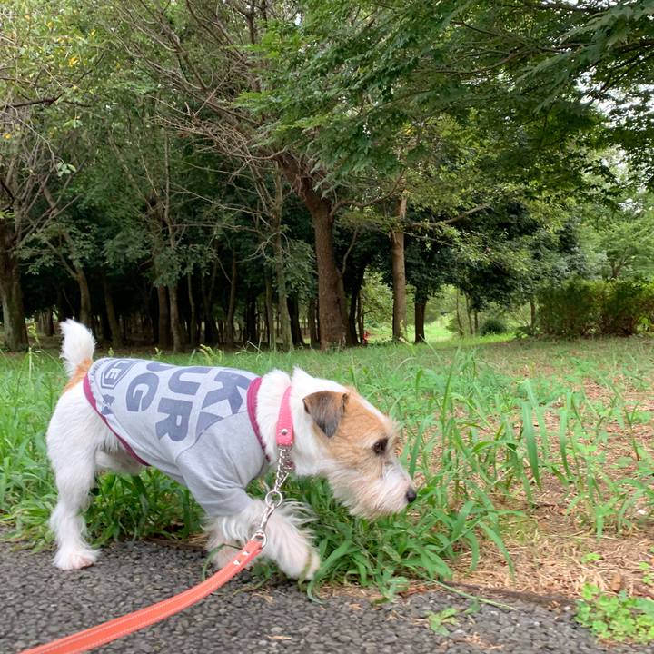 C170014a 96a1 4652 a7cf ad5abba9f3c2 1600335231724