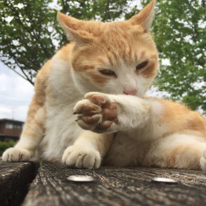 C1702c80 49a6 48dd 9c95 f17067c59630 1524817328345