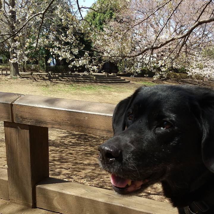 C1705eba 5c41 4fad 9bdc 295ae3b6a516 1743410679815