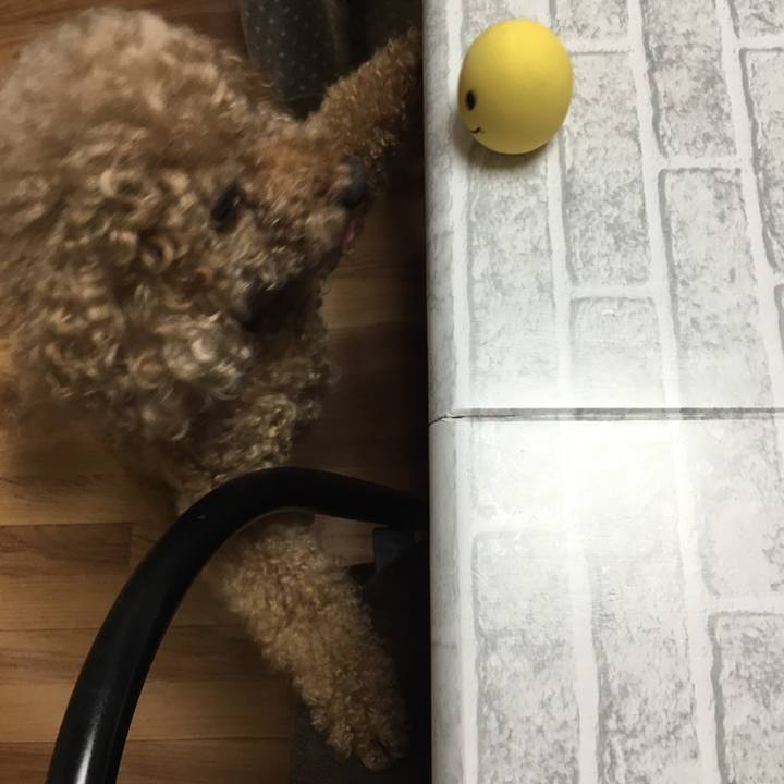 C1708974 7232 4139 a205 5fd1d9943176 1538397065364