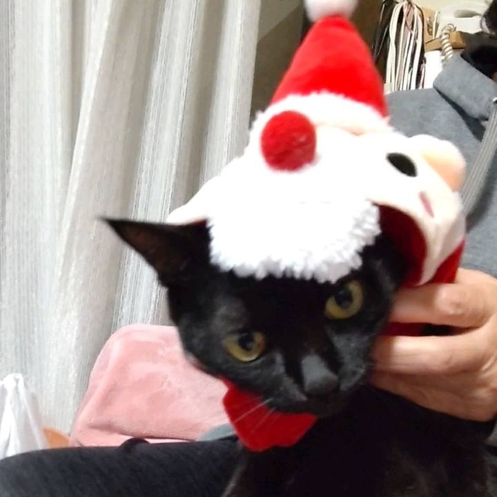 C1709ec2 e485 459d aac4 4b8594dbc4d7 1702457109640