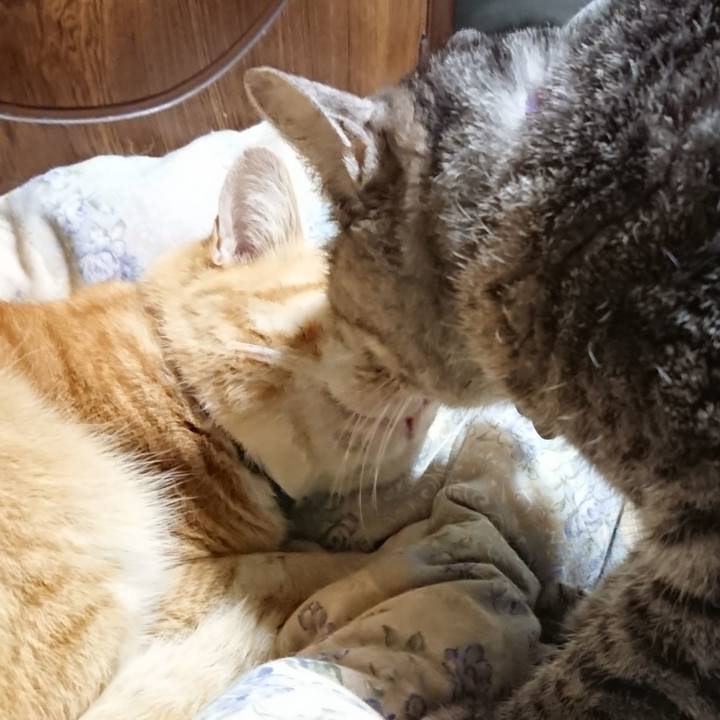 C170d316 daf4 4c14 a1d9 0fc06dfc2697 1583410818640