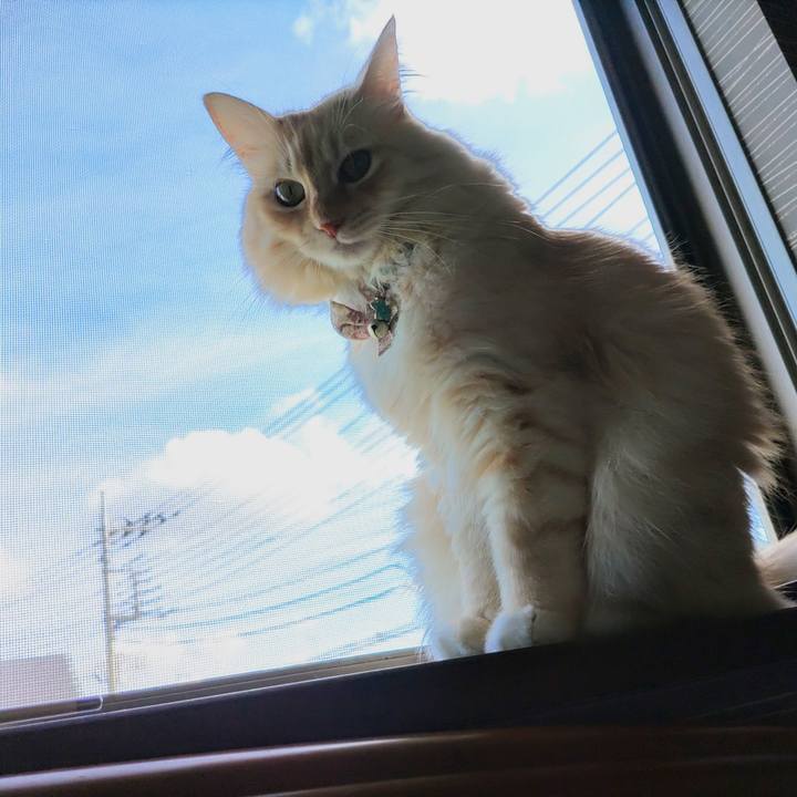 C170d759 915e 4871 82d0 631fdf673f22 1693613921912