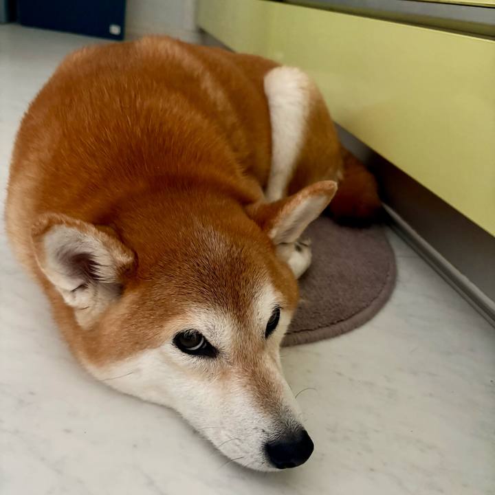 C1711843 2883 4bd4 9c90 4a4d40db35ad 1772766141229