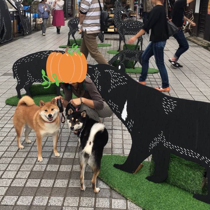 C1714963 4dce 479f ad1c 0a5846a1acc4 1538809625948