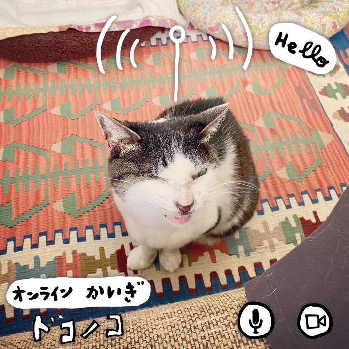 C1715872 287f 4feb 9e0c c77e3ce37268 1590739063101