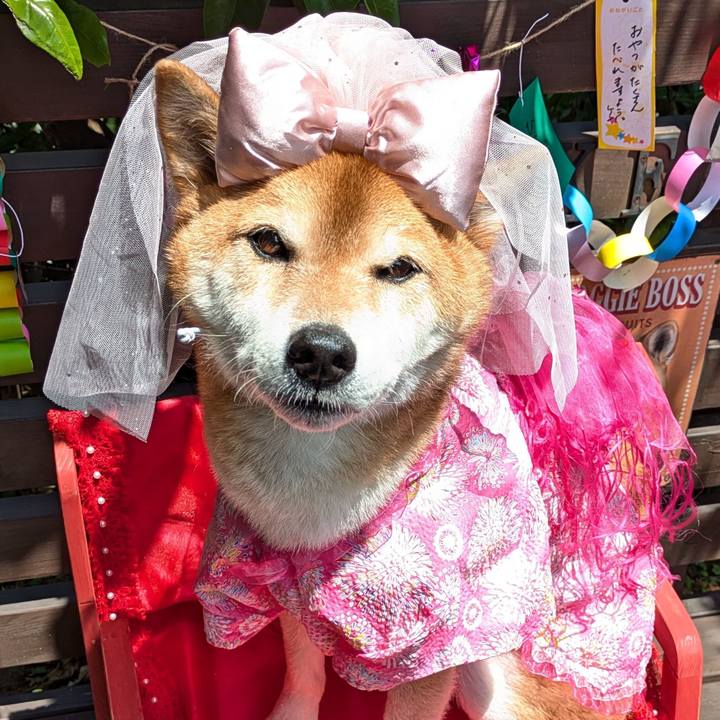 C1719772 6c9c 41f2 83cd 9976da92aacb 1720327680770