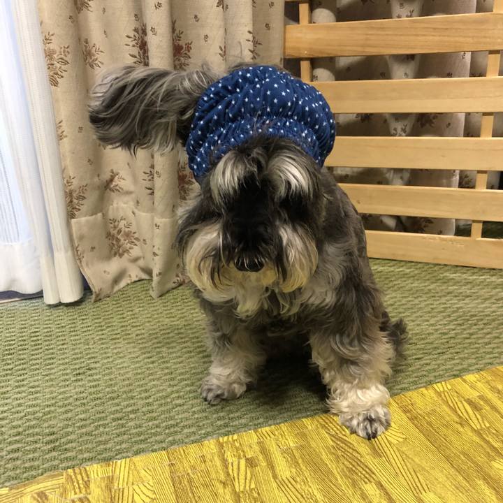 C1719b10 ca51 4823 9ef8 1bb390da9514 1531657385241