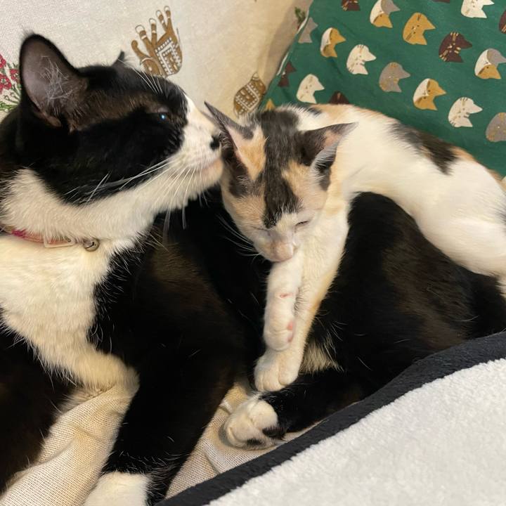 C171cd58 edc7 4299 8891 00e8e09553da 1661927068198