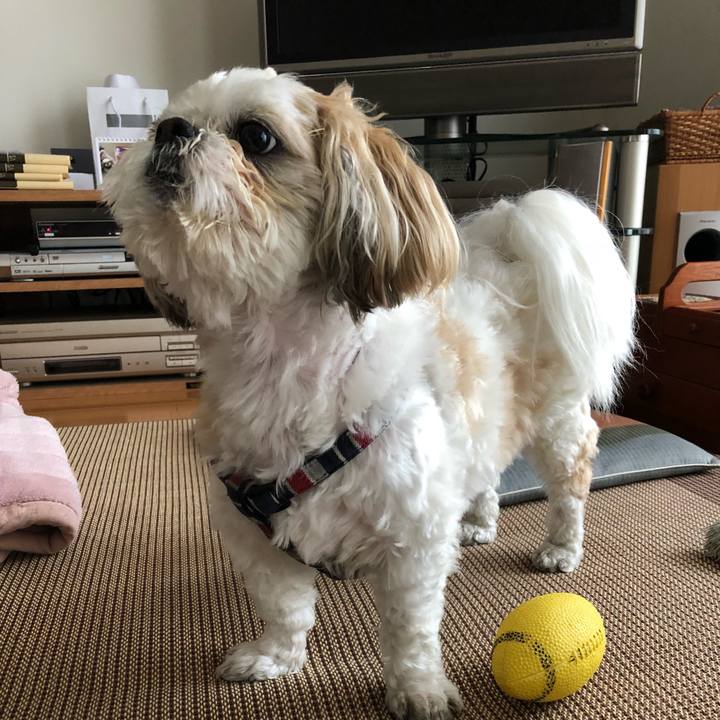 C171e3a5 2c28 4df1 8127 196ef0b86089 1526333971271