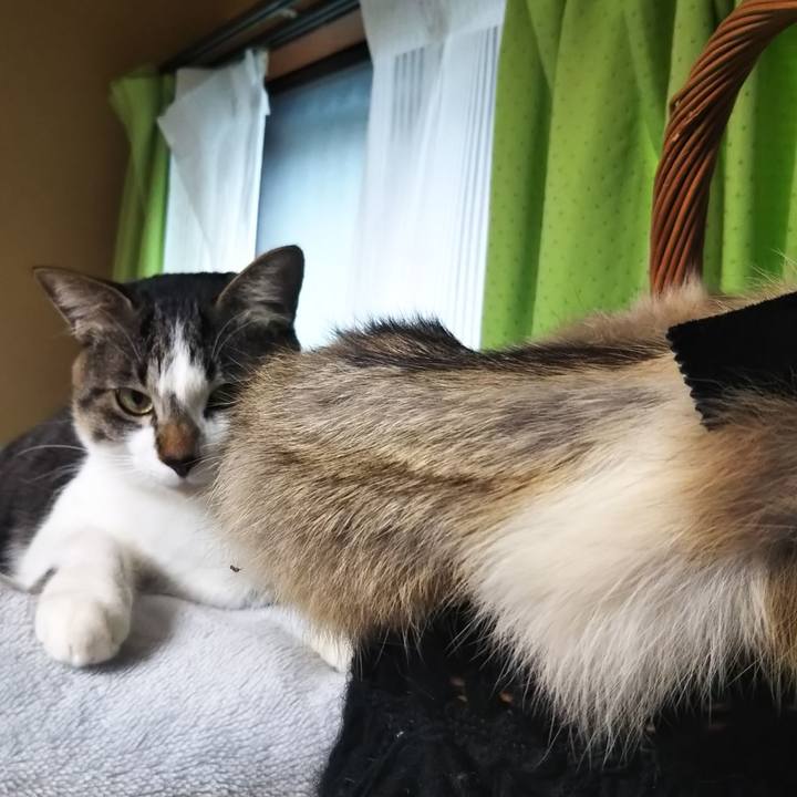 C171f1bd e354 45c2 b8c4 147d39faa3bc 1612971500665