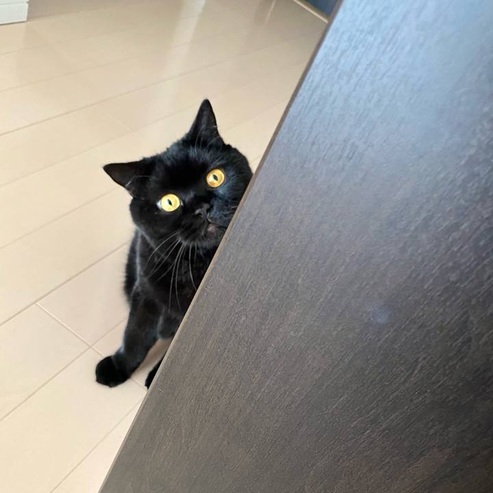 C1720e9d 5f2a 4d9f 90a6 e9950735d31e 1728220088275