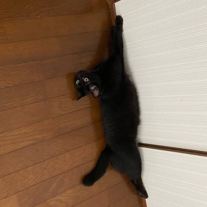 C1721bc5 0d8b 4718 99de 80ebb0a3701f 1660130742893