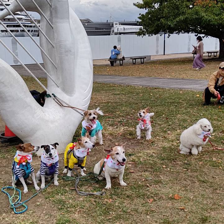 C1724f42 2279 4316 ac17 922878cc0510 1668334467279