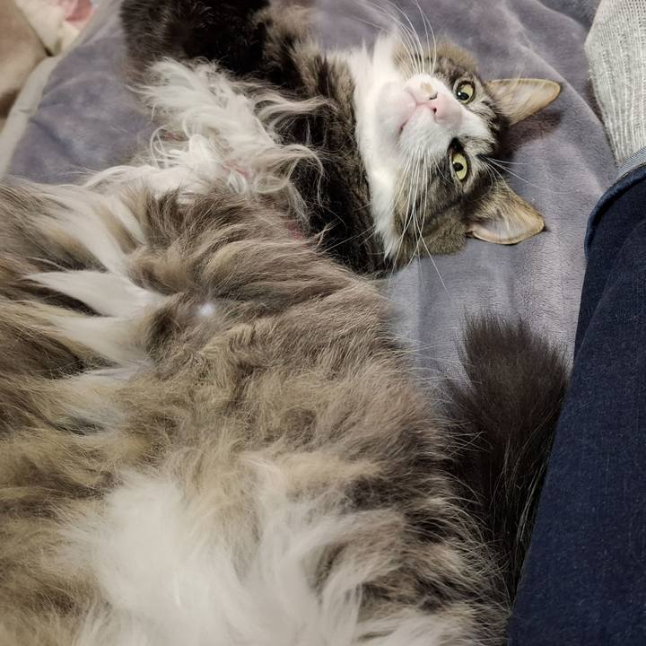 C1728ef2 acc7 47f9 8c7c 610724bf024e 1743429718489