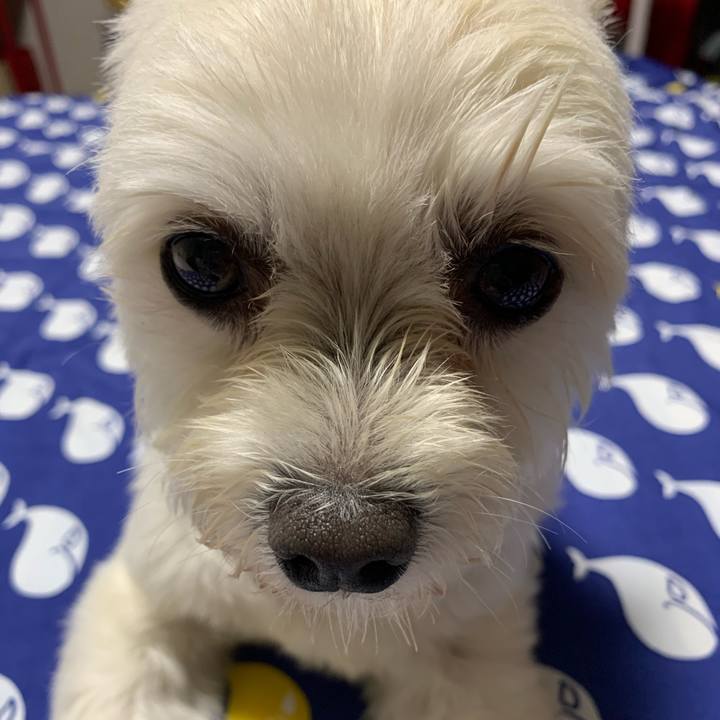 C172aba6 23c9 40d3 8e3c 94359e5cc945 1593175171500