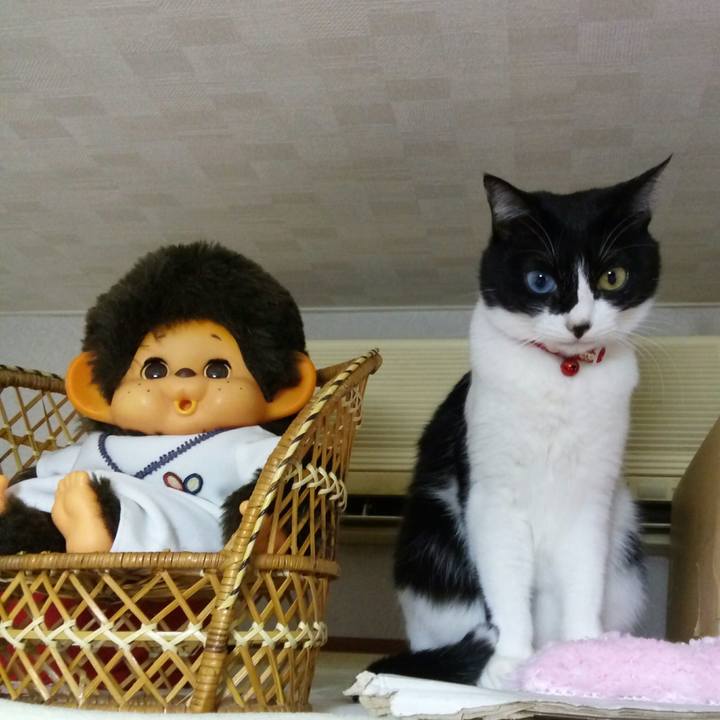 C172b5f7 d4f2 4a3e 85db 316225bb8a8b 1512566098150