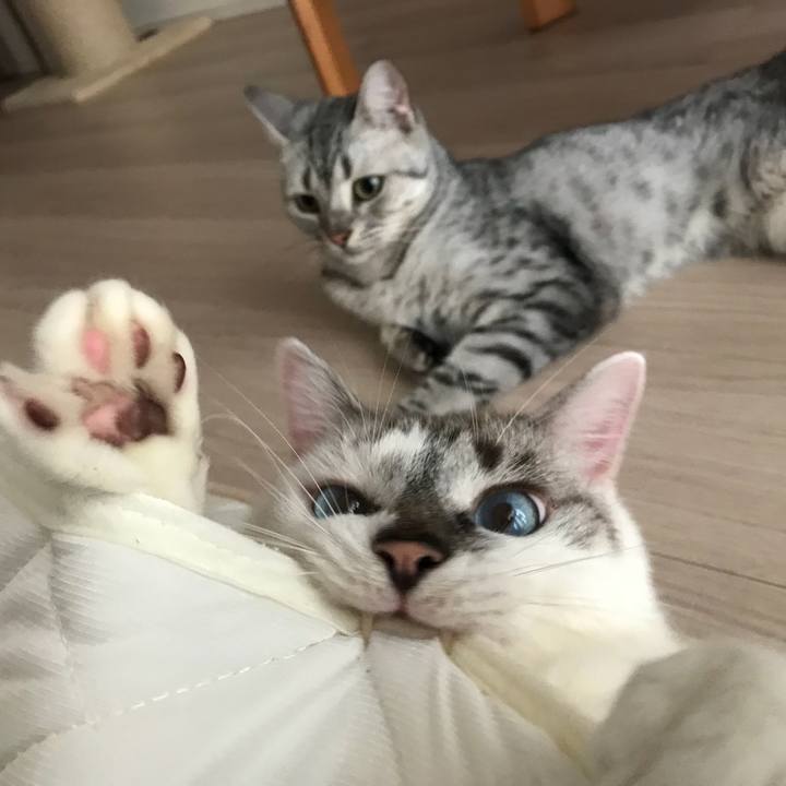 C172c124 dfda 44a0 95fa 0c244f770556 1537141444405