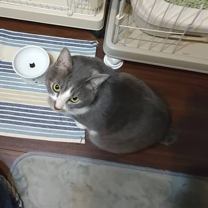 C172c4e5 e17b 4be0 92d8 42e7f7f4e65c 1646603384298