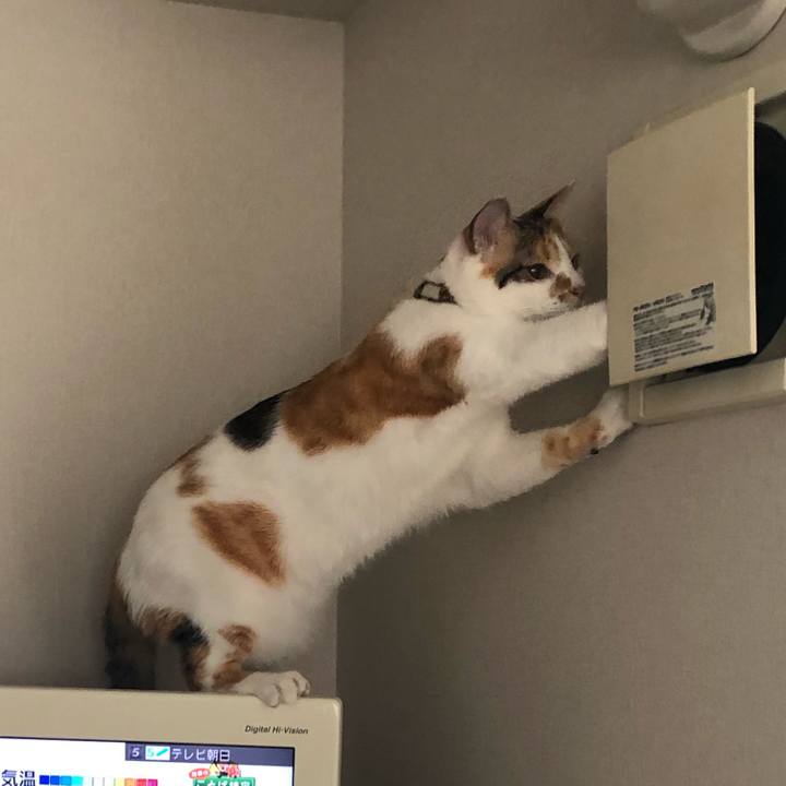 C17319d2 55e7 4b12 a04f be7facc85469 1598398470636