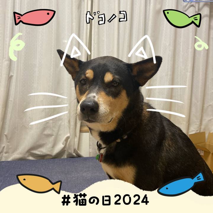 C173233c 9468 492a 8a9d 2155f80013e3 1708600216416