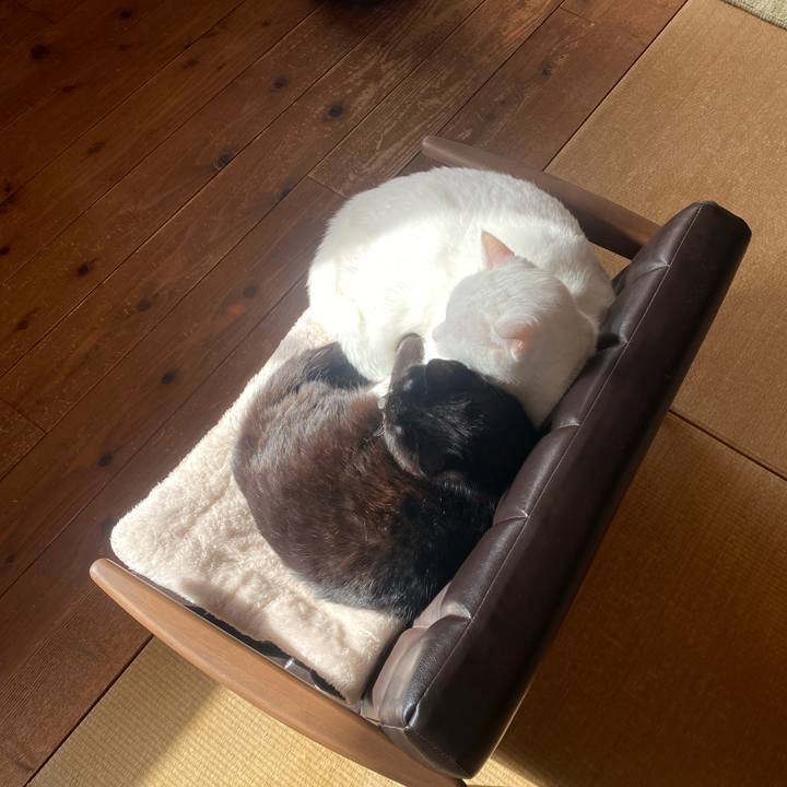 C1736b71 5687 4453 b93e 39b844e43827 1674359575076