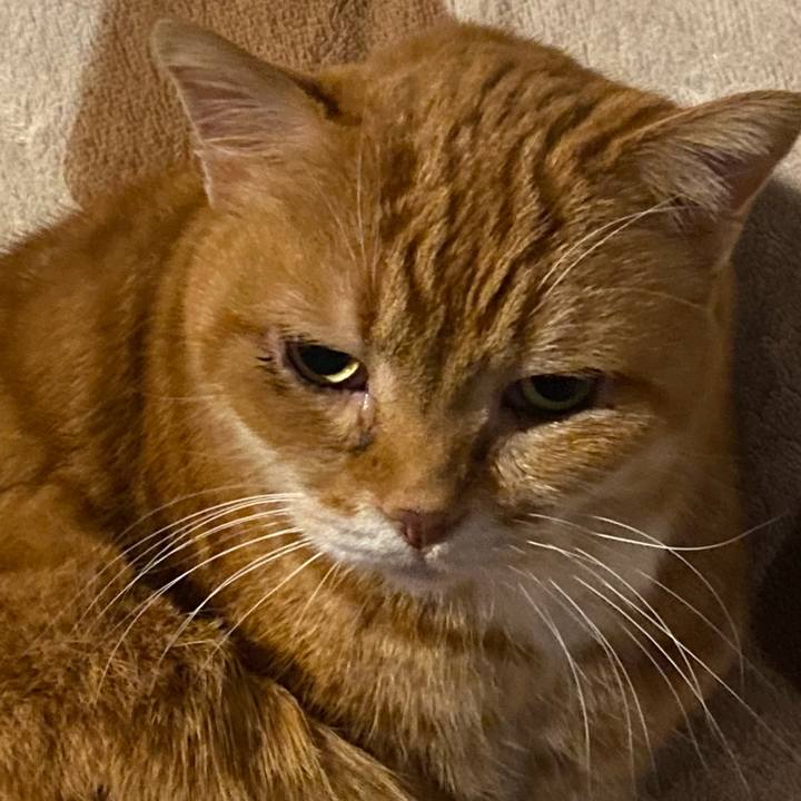 C1738fa1 d23d 4db0 af79 d7ef0979f289 1678134944357