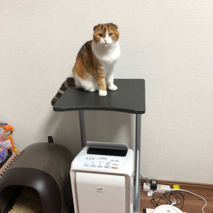 C17393fe e192 483c 9505 1d5c2c9a373c 1536307241155