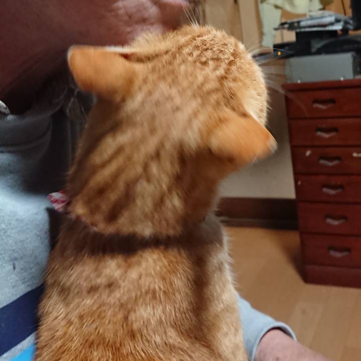 C173a4de 8fdf 4734 a6f2 7527d984ff8c 1604346326355