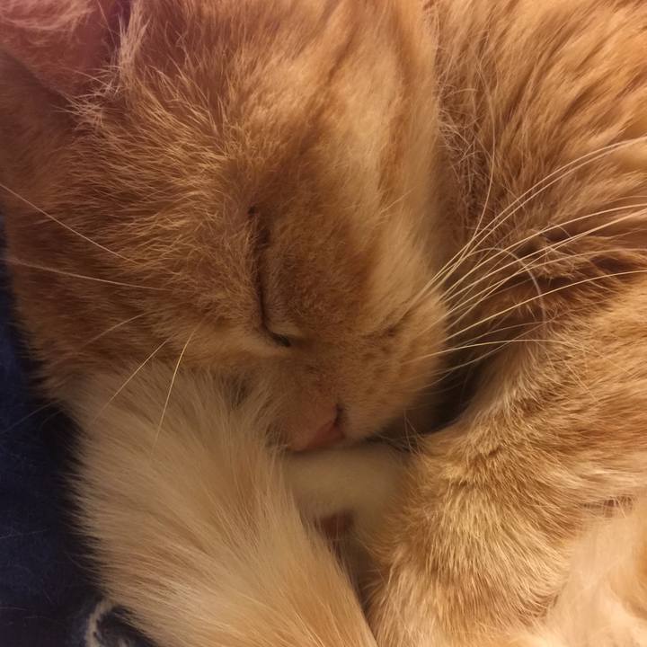 C173bb56 9810 4f4b a0f5 559772f74cff 1550398913996