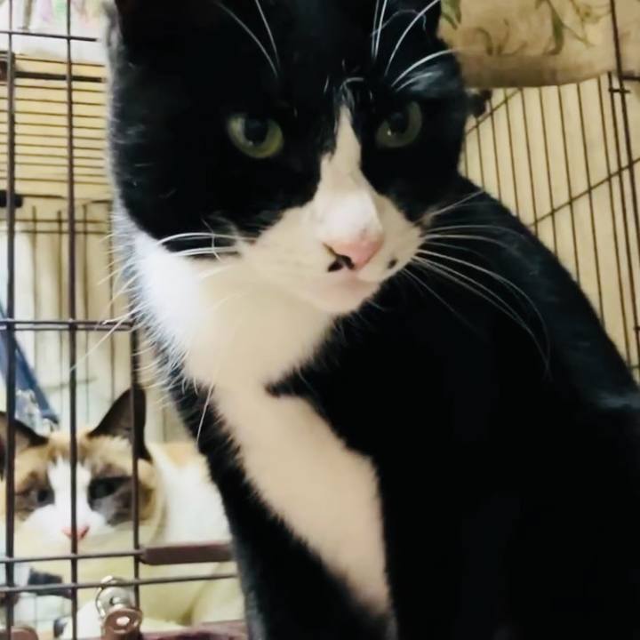 C173ccb6 d9e8 4664 a8dd e2630644f594 1734349600012