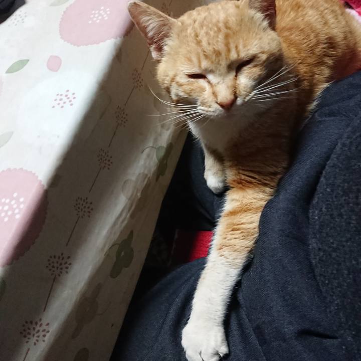 C173d725 49ce 4478 9eaa 8278b43be61c 1554368267222