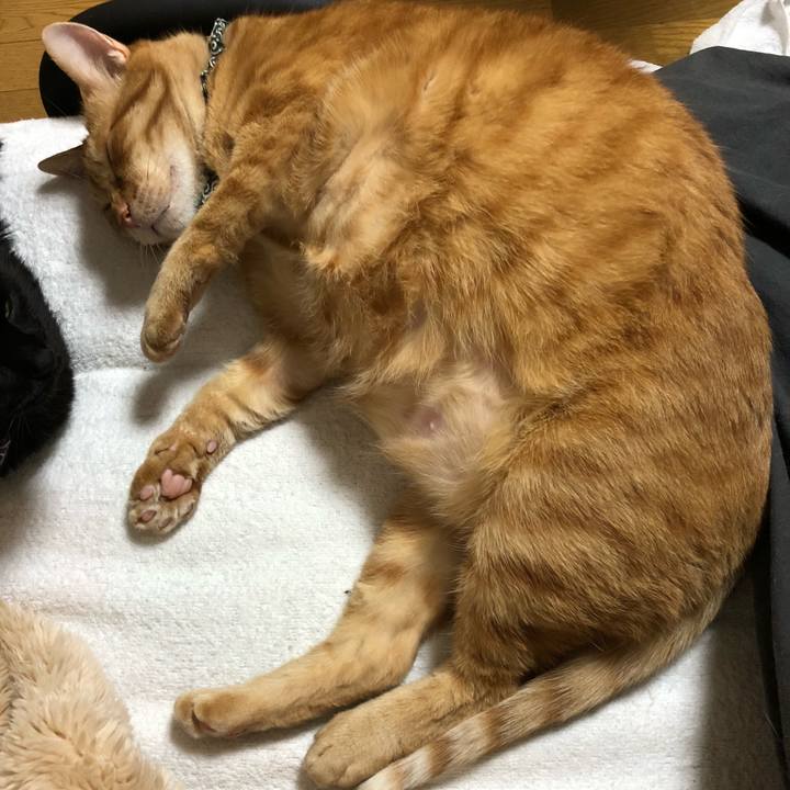 C1744b63 77e0 4843 87f6 bb4675cca831 1615114870535