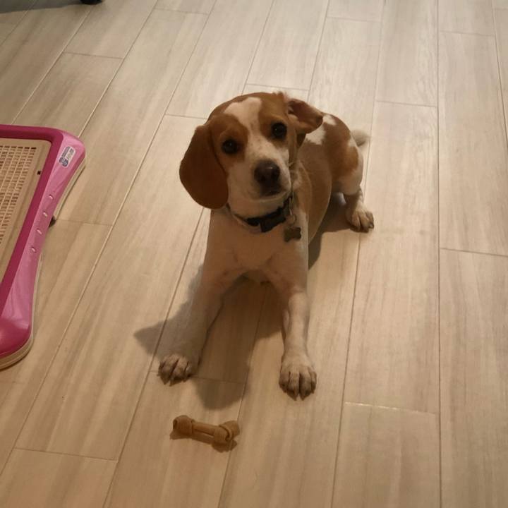 C1747a75 ac0e 4f15 aa80 099d562ee7c3 1576842206611