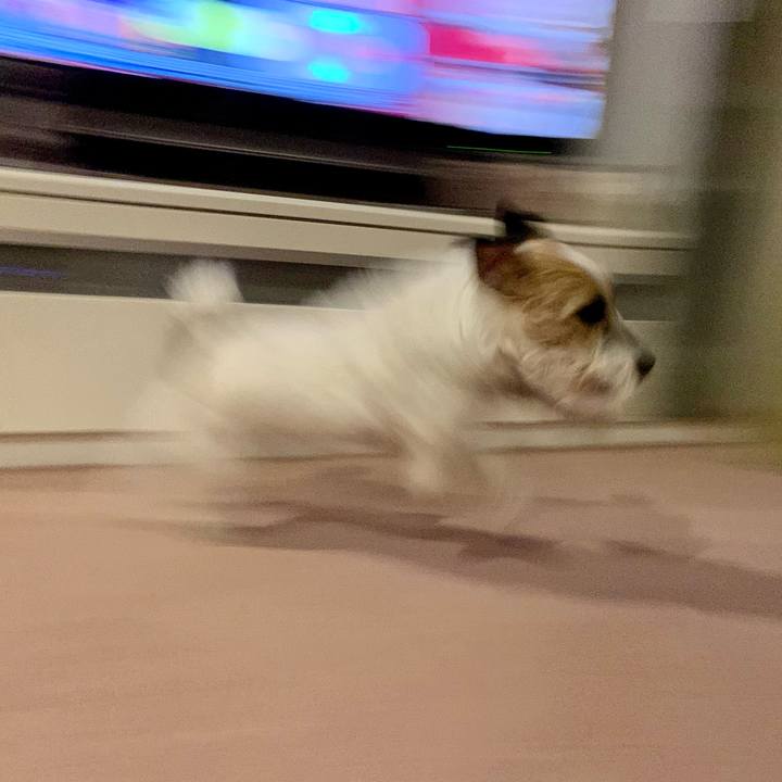 C174bdbf ab2b 4052 bce0 25ea003748df 1654783196546