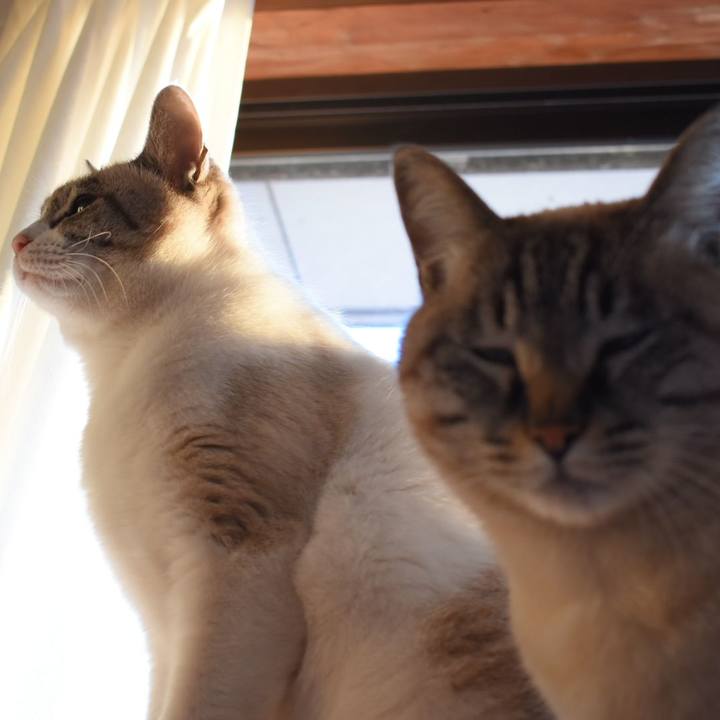 C174f07a 9a77 48d7 a380 3dd4df065fb8 1548515126909