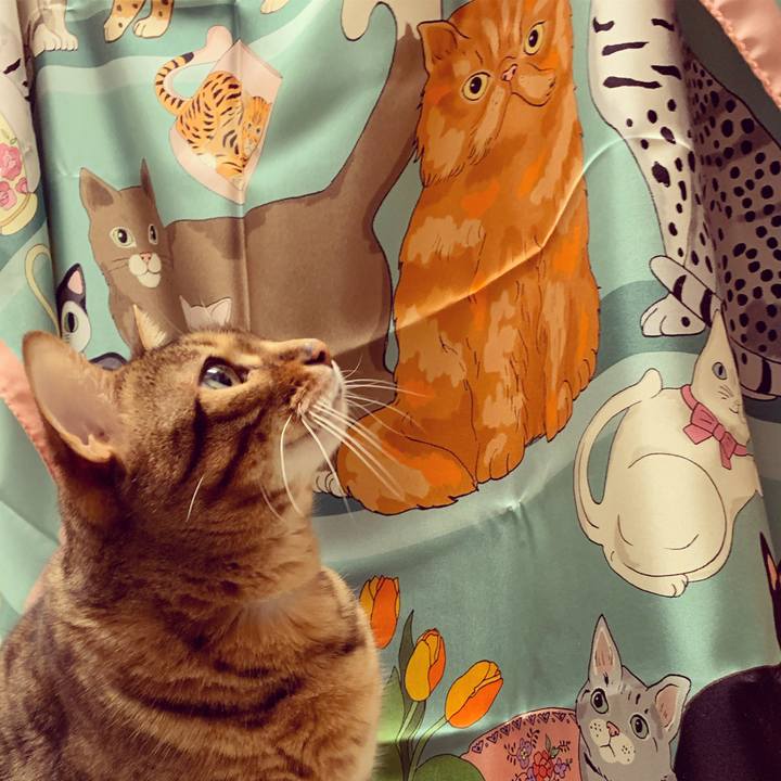 C17503c2 5aca 4c3f b5ec 843d7415274f 1585259407199