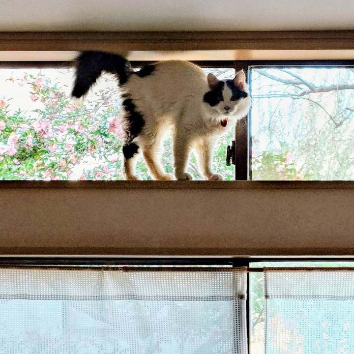 C1751d41 1877 43f2 b1ba be112e53450b 1768717254256