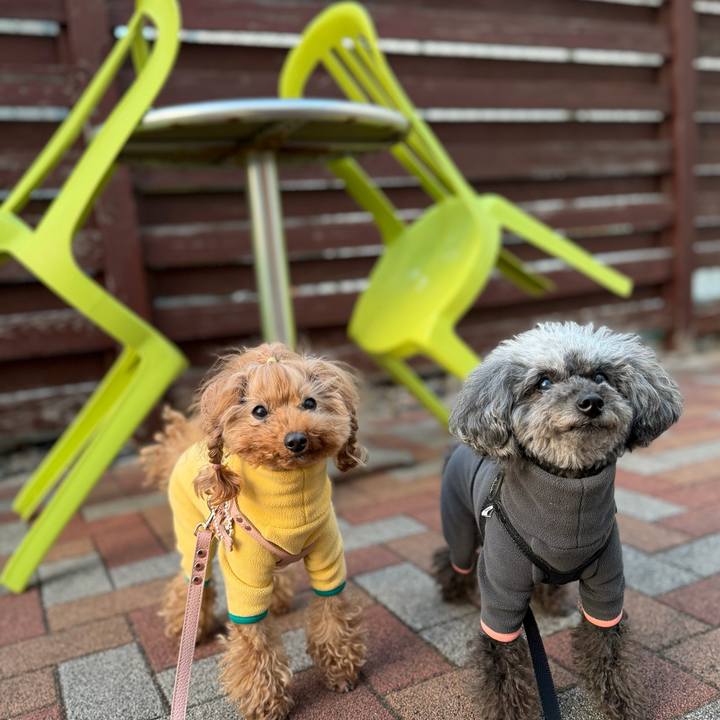 C175234b 6691 4400 9ce0 6b28c2194cd9 1769642331435