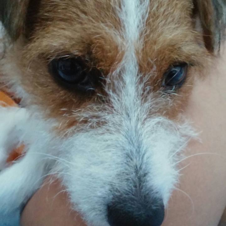 C175470c d0a9 4fef ba09 f56b8695ae1d 1538773540188