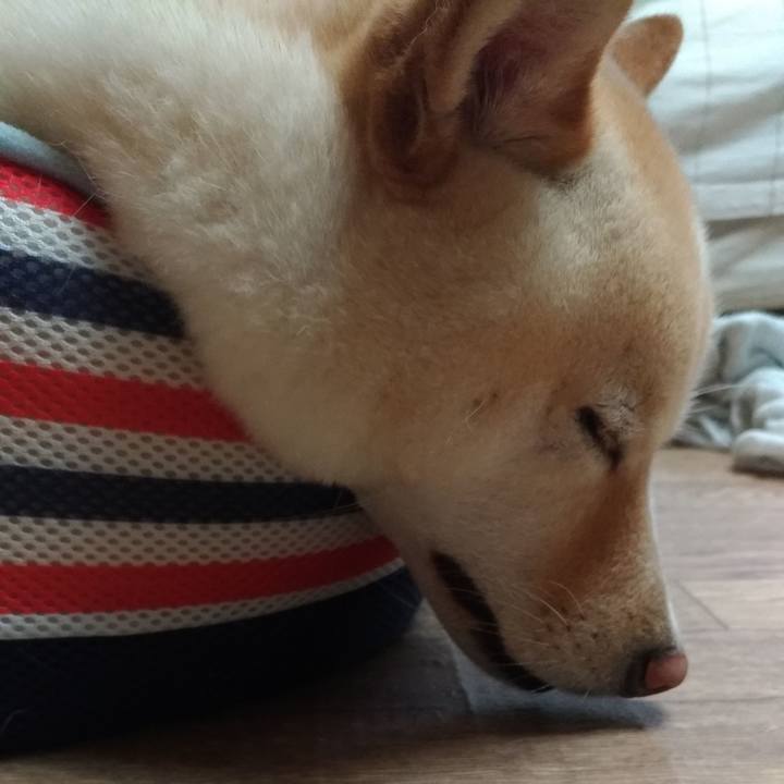 C1757919 f589 432f a67f 8cd5f9334419 1561788565592