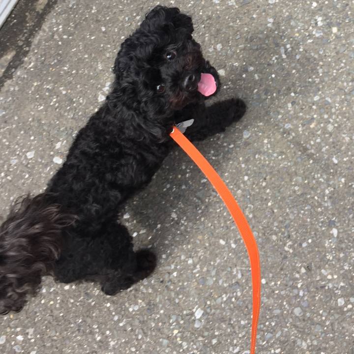 C1758bdf 1697 4387 af69 b1df690da71e 1528939234814