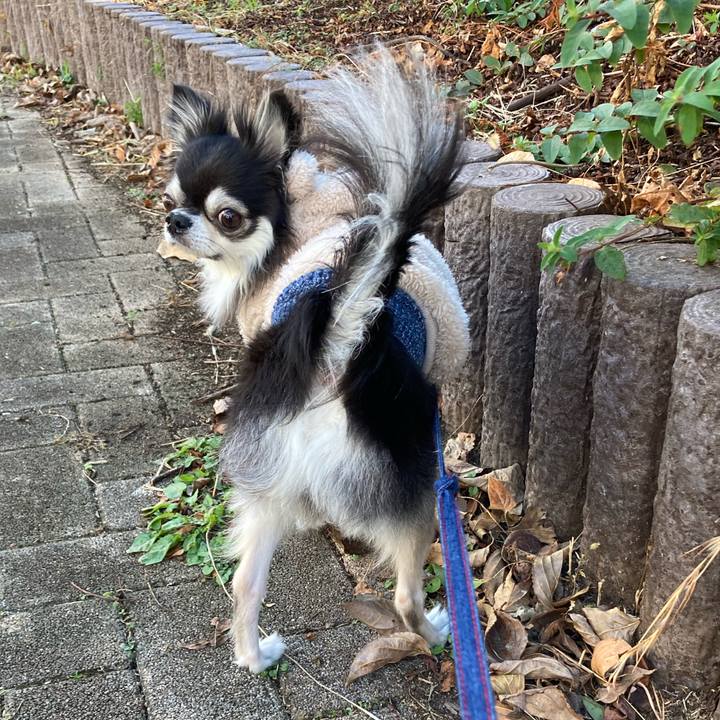 C175fb39 eb37 47a1 9bfd 3254359f79f7 1704353867557