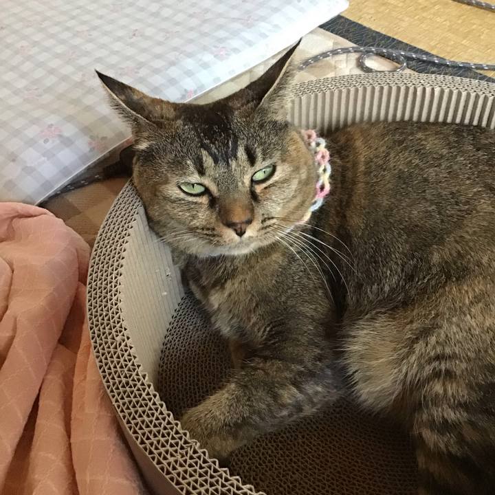 C1762cee 6d98 4115 a09d 0c8b0b7593da 1697786645169