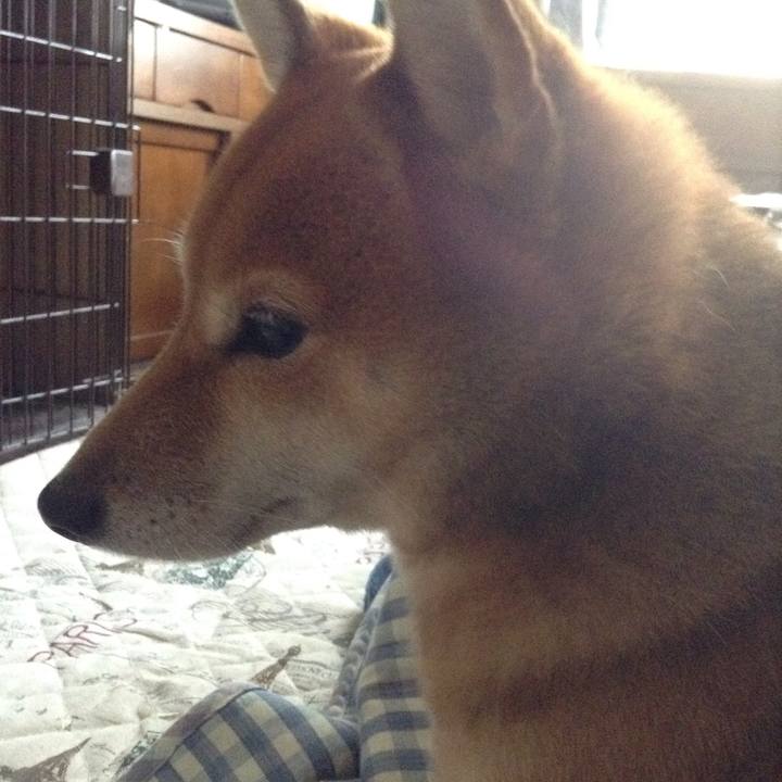 C1764c96 7f70 499c 93de a094b1fb9733 1508805689010