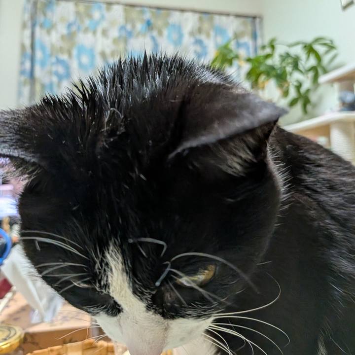 C1764cc5 66ca 43e1 a88c b64c813abb7a 1775219180303